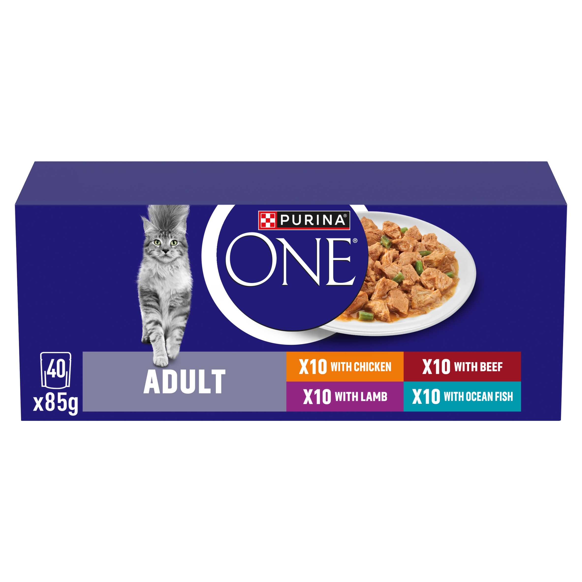 PURINA ONE Mini Fillets Mixed Selection in Gravy Wet Cat Food 40x85g