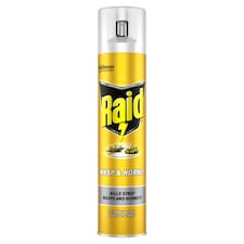 Raid Wasp & Hornet 300ml