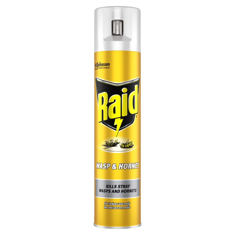 image 1 of Raid Wasp & Hornet 300ml