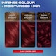 image 3 of CLAIROL NICE'N EASY BOLD PERMANENT HAIR DYE - 5.46 CHERRY RED