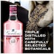 image 2 of Gordon's Premium Pink Gin Based Flavoured Spirit Drink 35% Vol 70cl