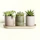 image 1 of Paperchase Full Bloom Planters