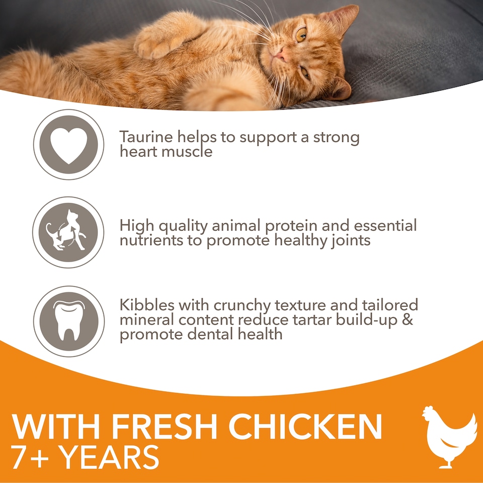 image 1 of Iams Senior Cat Food with Fresh Chicken 2kg