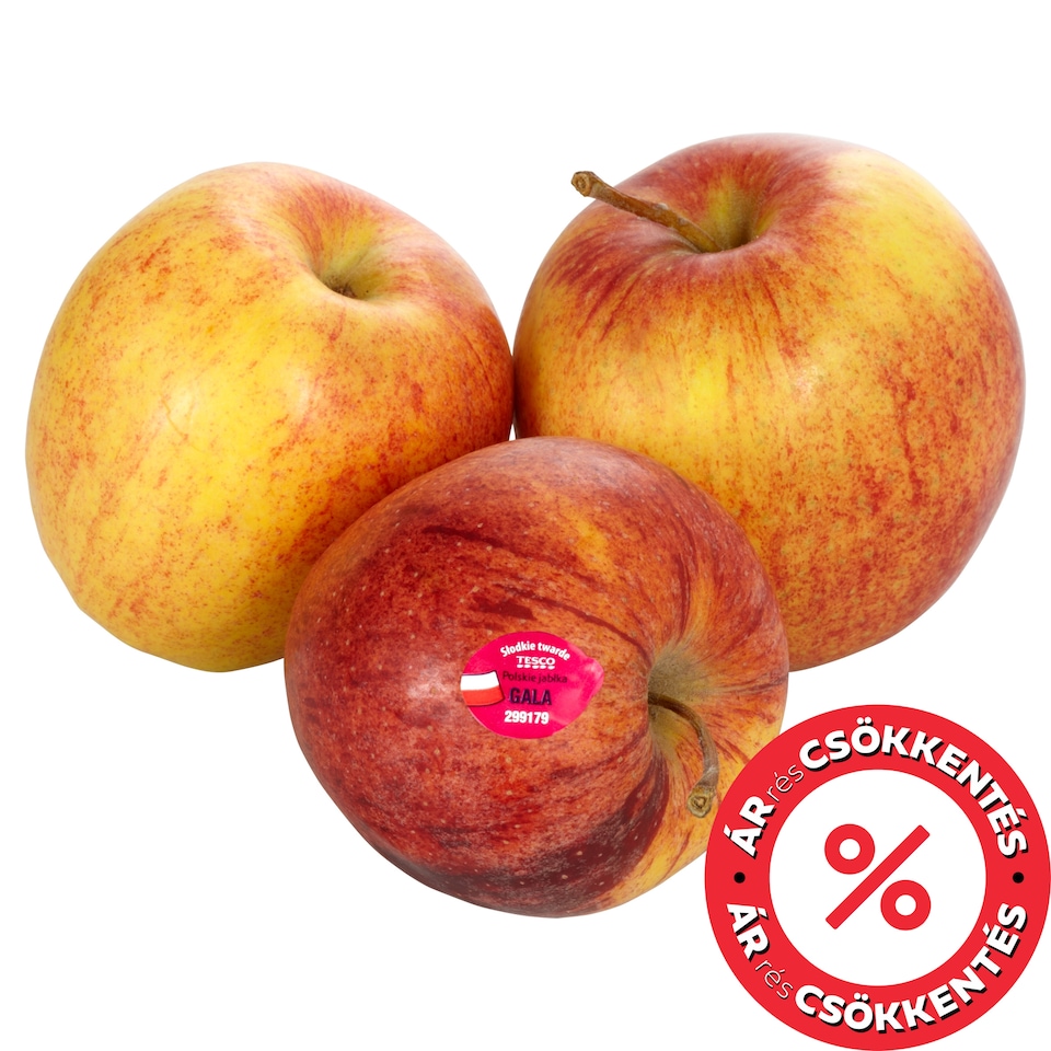 Gála alma lédig