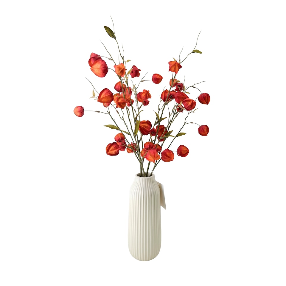 Bayswood Chinese Lantern Arrangement