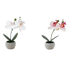 Bayswood Artificial Mini Orchid Assorted