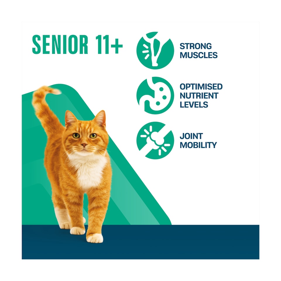 image 1 of Perfect Fit Senior 11+ Dry Cat Food - Chicken 750g
