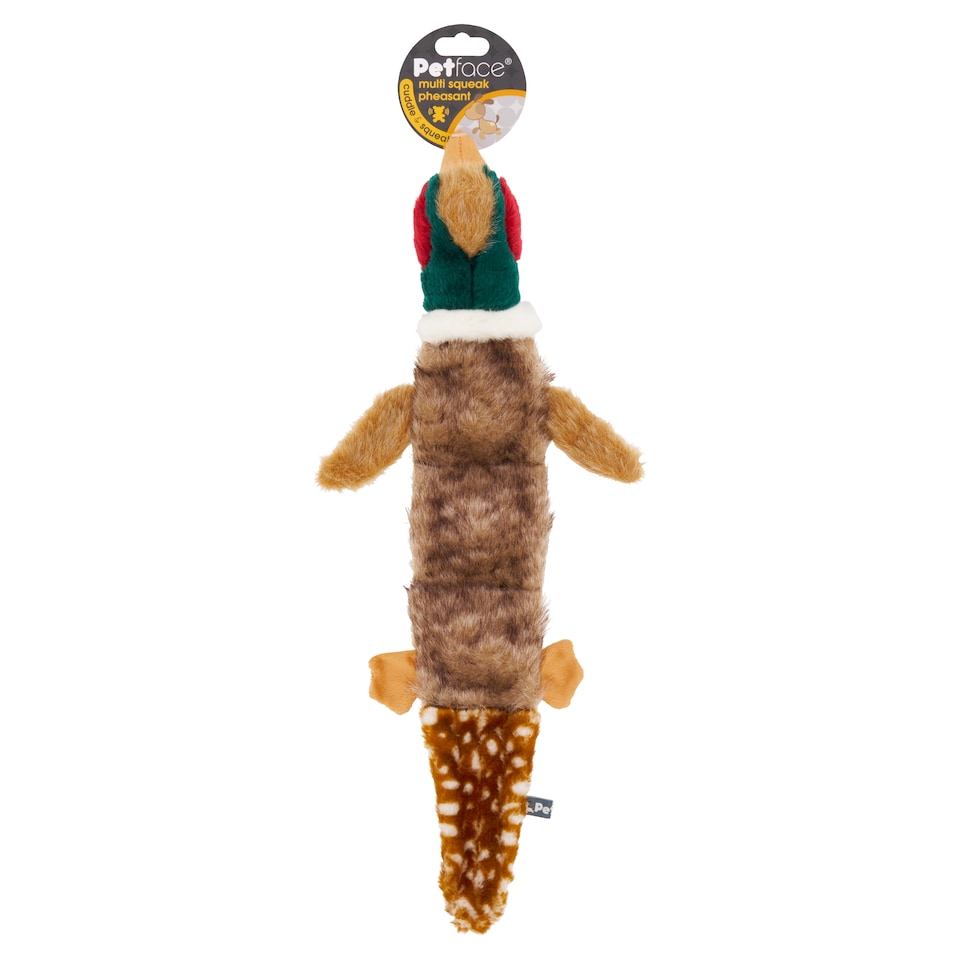 Petface Multi Squeak Dog Toy
