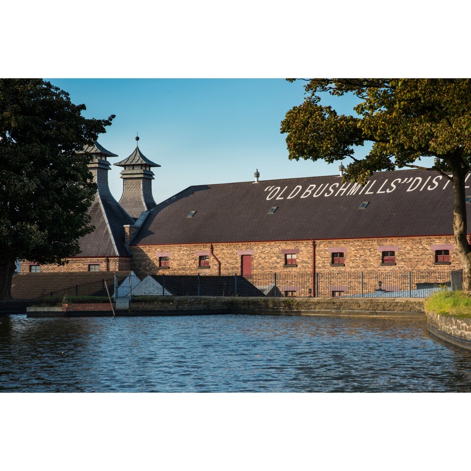image 1 of Bushmills Single Malt Irish Whiskey Aged 10 Years 700ml