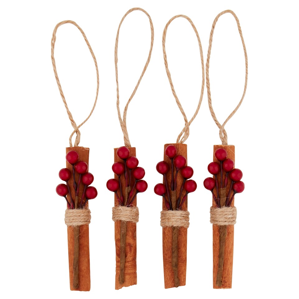 Tesco 4 Pack Cinnamon Berry Sticks