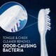 image 4 of Oral-B Pro Expert Extra Clean Eco Edition Toothbrush