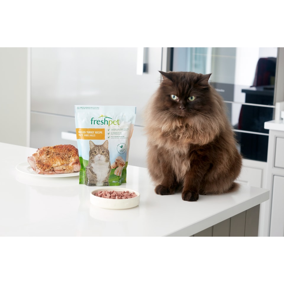 image 1 of Freshpet Grilled Turkey Recipe Cat Food 400g