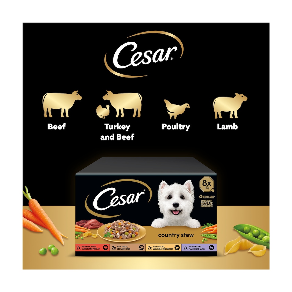 image 1 of Cesar Country Stew Mixed Selection Wet Dog Food Tray 8x150g