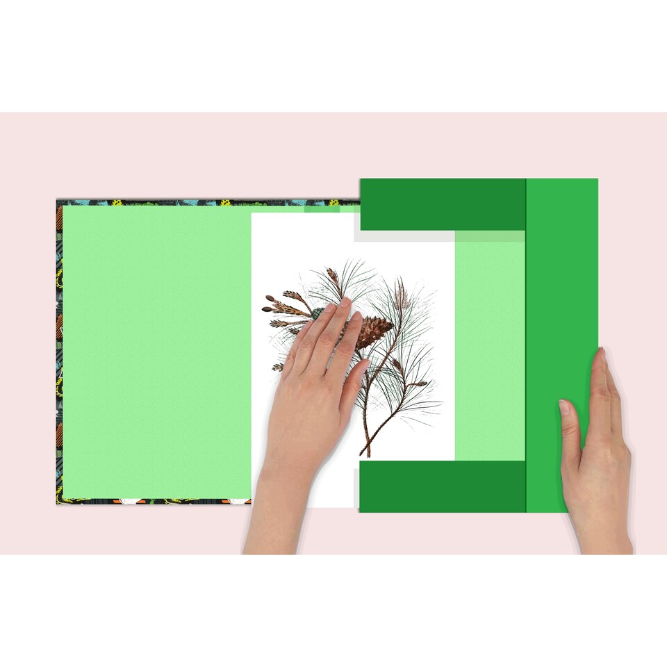 image 1 of 3D T-Rex File Folder A4
