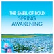 image 4 of Bold All in One Washing Pods Spring Awakening 58 Washes 1125.2g