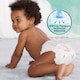 Pampers Harmonie Pelenka, Méret: 2, 32 Pelenka, 4kg-8kg  5. kép