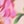 Multi Pink