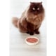 image 3 of Freshpet Grilled Chicken Recipe Cat Food 400g