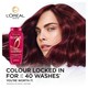 image 2 of L'Oreal Elvive Colour Protect Shampoo 250Ml
