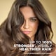 image 2 of Pantene Repair And Protect Vitamin E Oil 100Ml