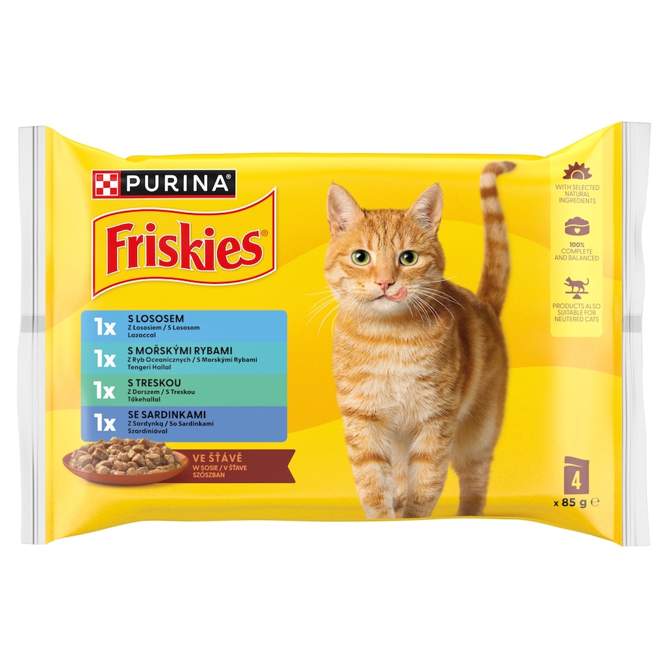 Purina Friskies Wet Cat Food in Gravy with Salmon, Ocean Fish, Sardine and Cod 4 × 85 g