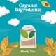 image 3 of Clipper Fairtrade Everyday Tea 100 Bags 312G