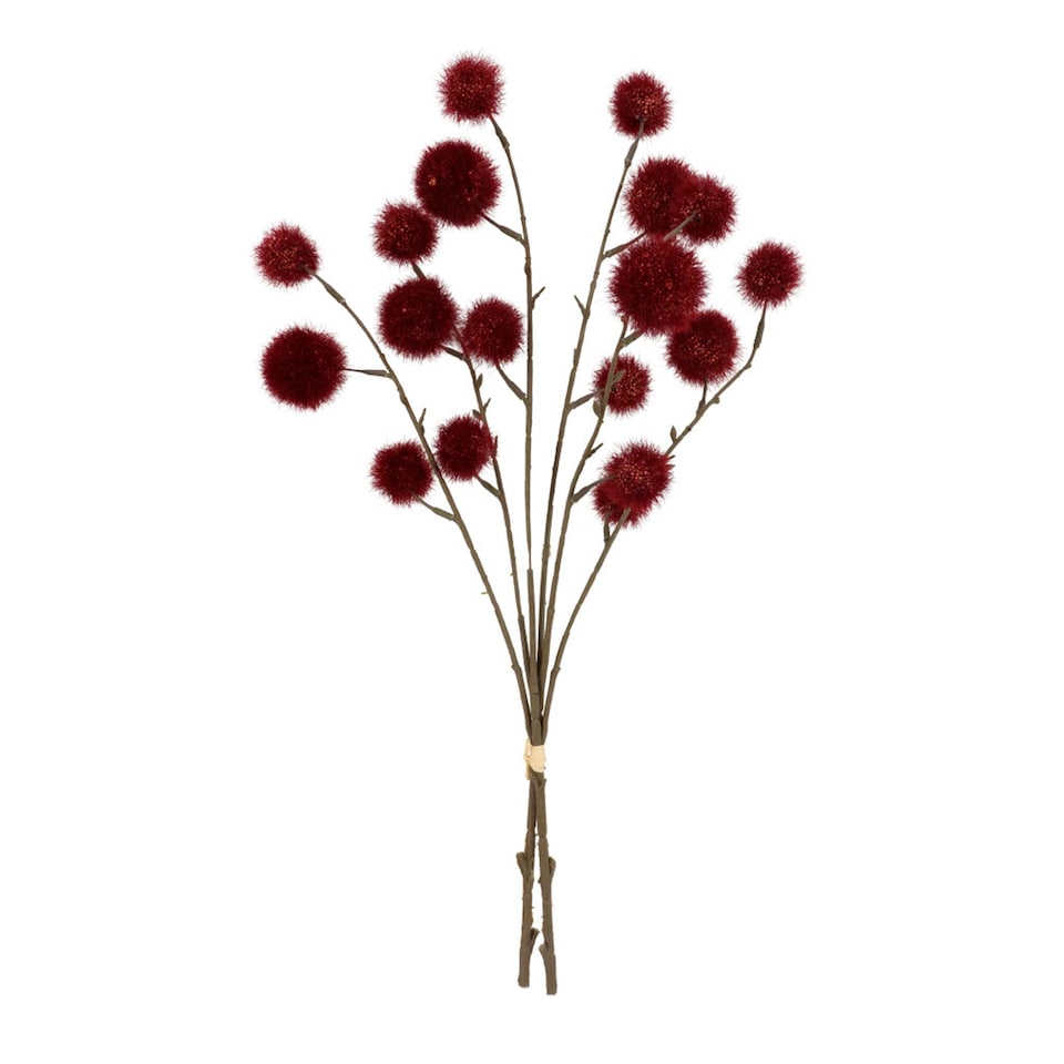 Bayswood Pom Pom Stems Set of 2