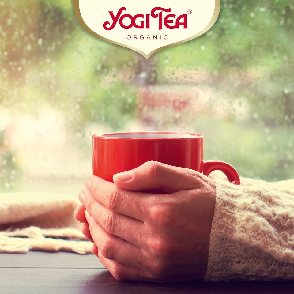 image 1 of Yogi Tea® Classic Organic 17 Bags 37.4g