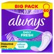 obrázok 1 z Always Dailies Normal Fresh & Protect  Intímky  ks