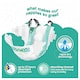image 3 of Fred & Flo 36 Ultra Dry Nappies 5+