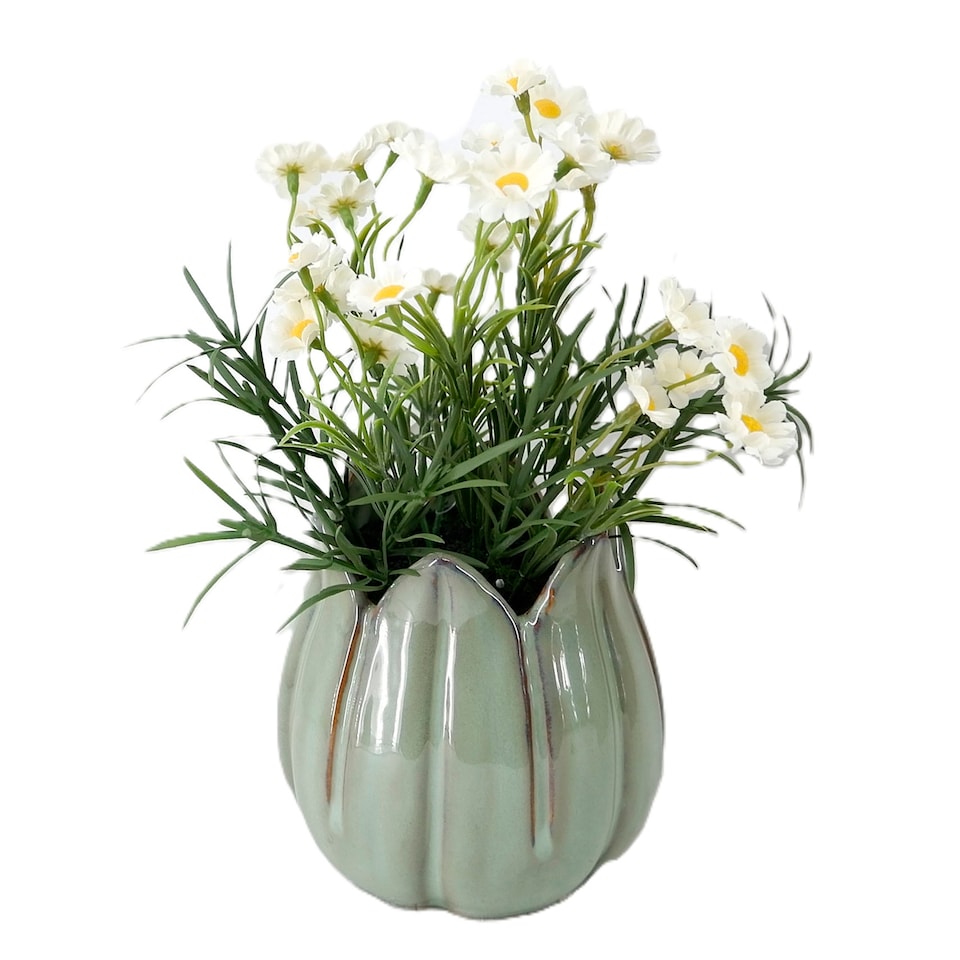 Bayswood Flora & Fern Daisies in a petal vase