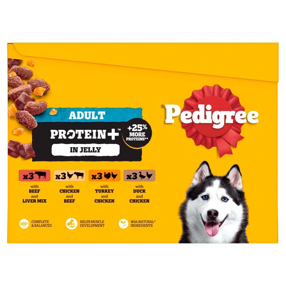 Pedigree Adult Protein+ Mixed Selection in Jelly Dog Food 12x85g 