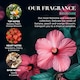 image 4 of Baylis & Harding Boudoire Keepsake Boxes Gift Set
