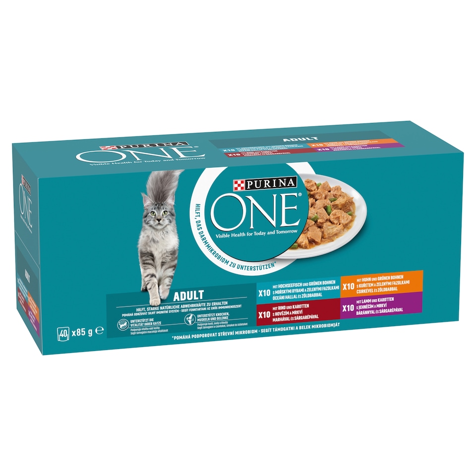 PURINA ONE ADULT Mini filetky s hovězím/jehněčím/kuřetem/mořskými rybami ve šťávě 40 x 85g