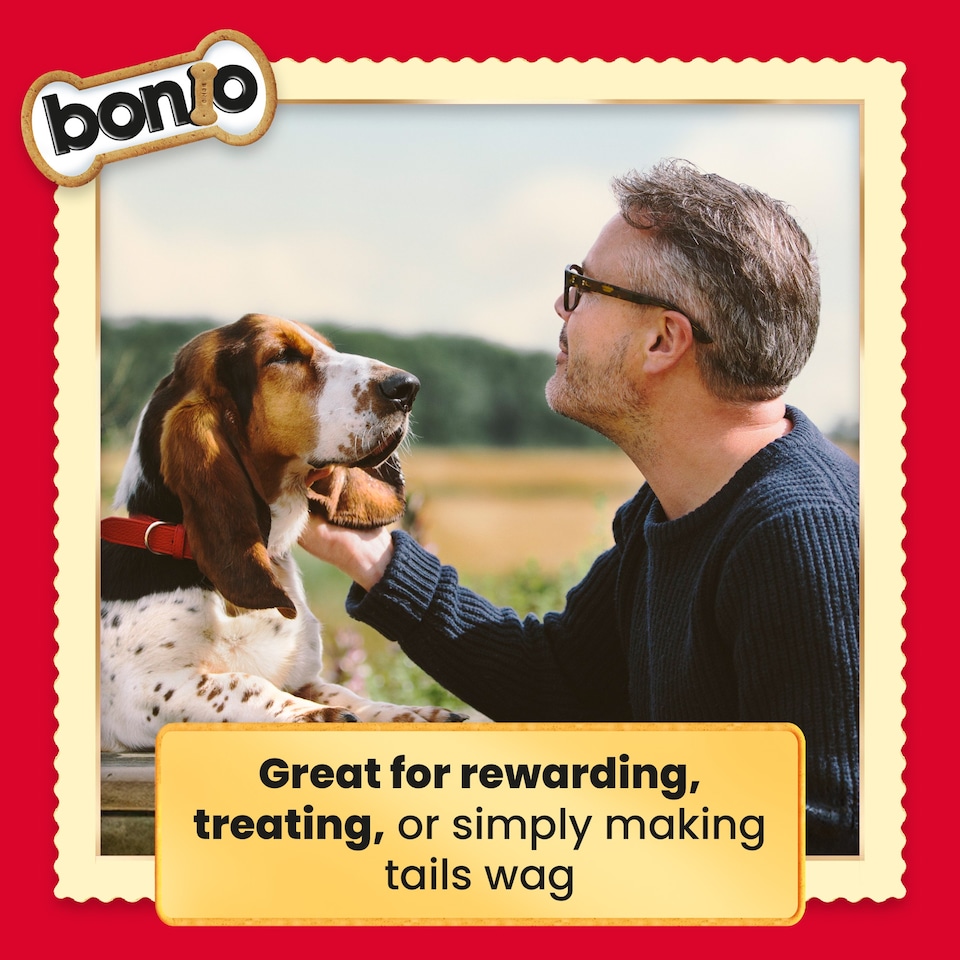 image 1 of BONIO Original Dog Biscuits 650g