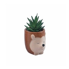 Bayswood Artificial Succulent in Hedgehog Pot