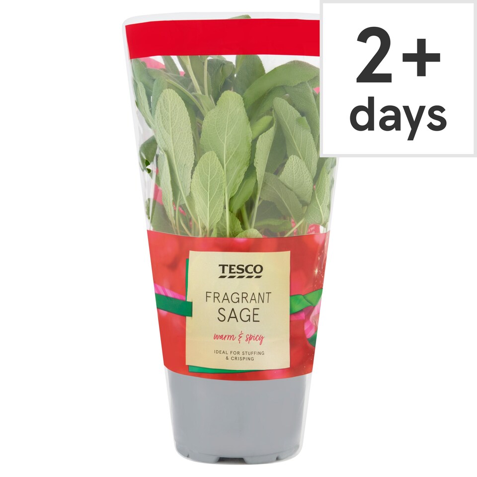Tesco British Sage Tesco Groceries
