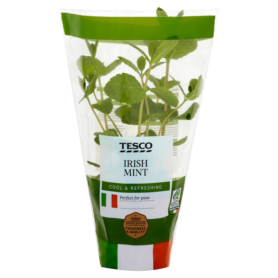 image 1 of Tesco Growing Herb Mint