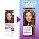 image 5 of CLAIROL NICE'N EASY TONE+GLOSS SEMI PERMANENT HAIR DYE - 600/755 LIGHT BROWN