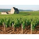 image 4 of Louis Jadot Macon - Villages 75Cl