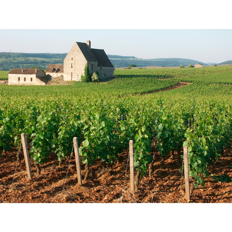 image 1 of Louis Jadot Macon - Villages 75Cl