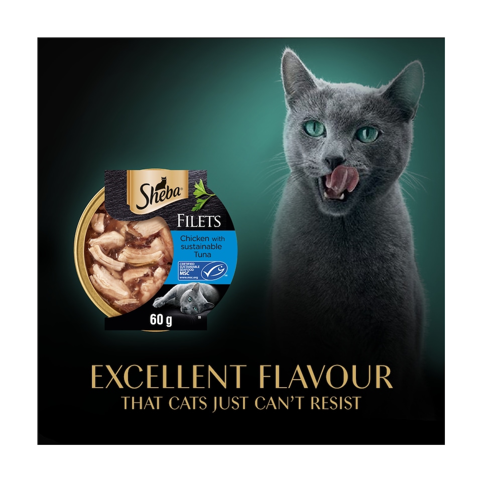 image 1 of Sheba Fillets Wet Cat Food Tray with Chicken & Tuna in Gravy 60g