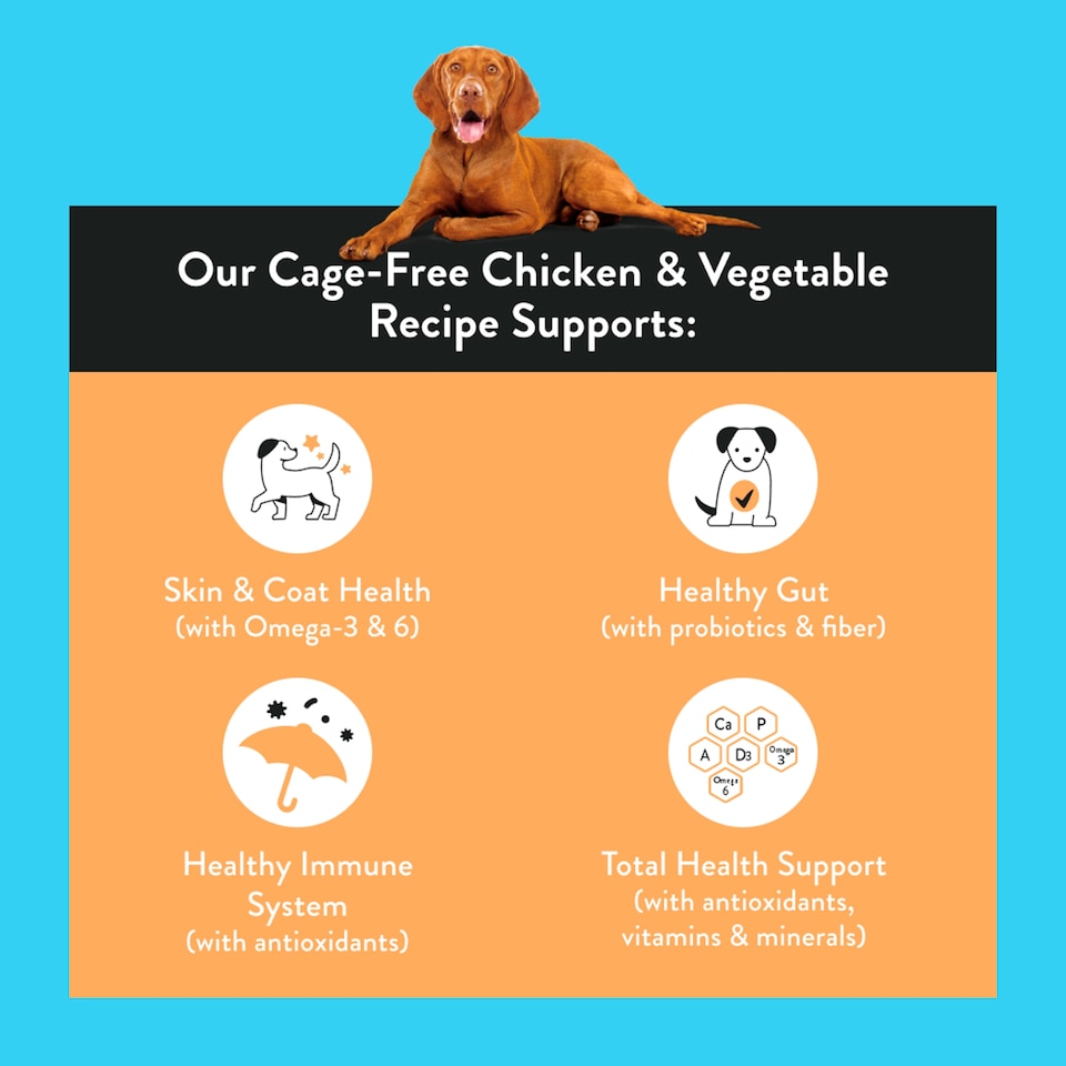 image 1 of Nood Dog Premium Nutrition Chicken Recipe 1.42Kg