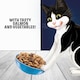 image 4 of Felix Dry Doubly Delicious Salmon & Vegetables Cat Food 2kg