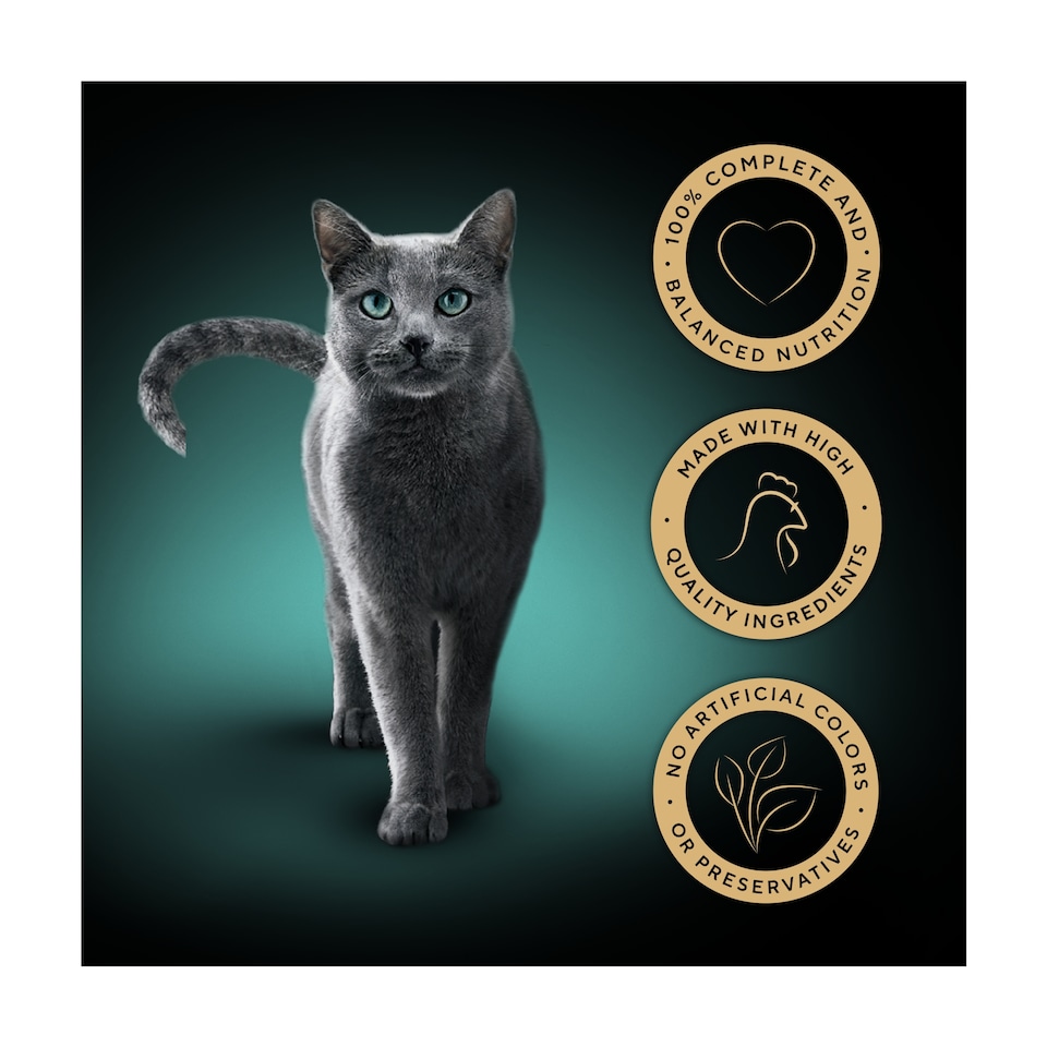 image 1 of Sheba Classics Wet Cat Food Tray Chicken in Terrine 85g