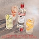 image 4 of Smirnoff No.21 Red Label Vodka 35cl