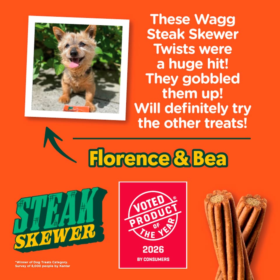 image 1 of  Wagg Dog Chews Steak Skewer Twists 110g