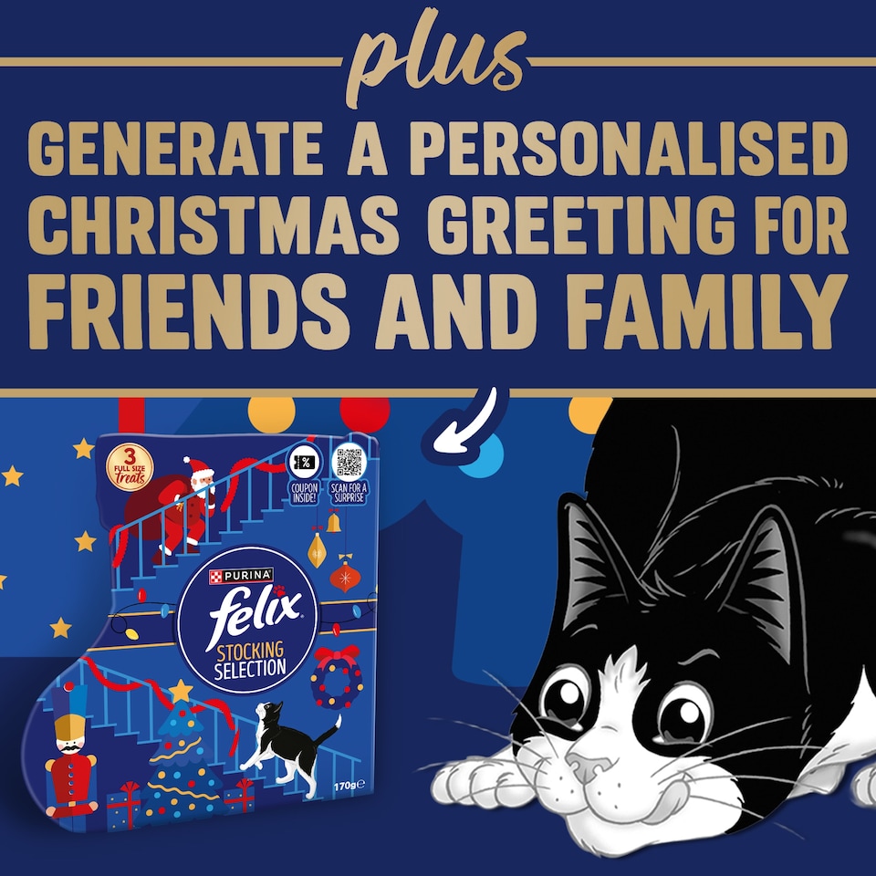 image 1 of FELIX Cat Treats Christmas Selection Stocking 170g