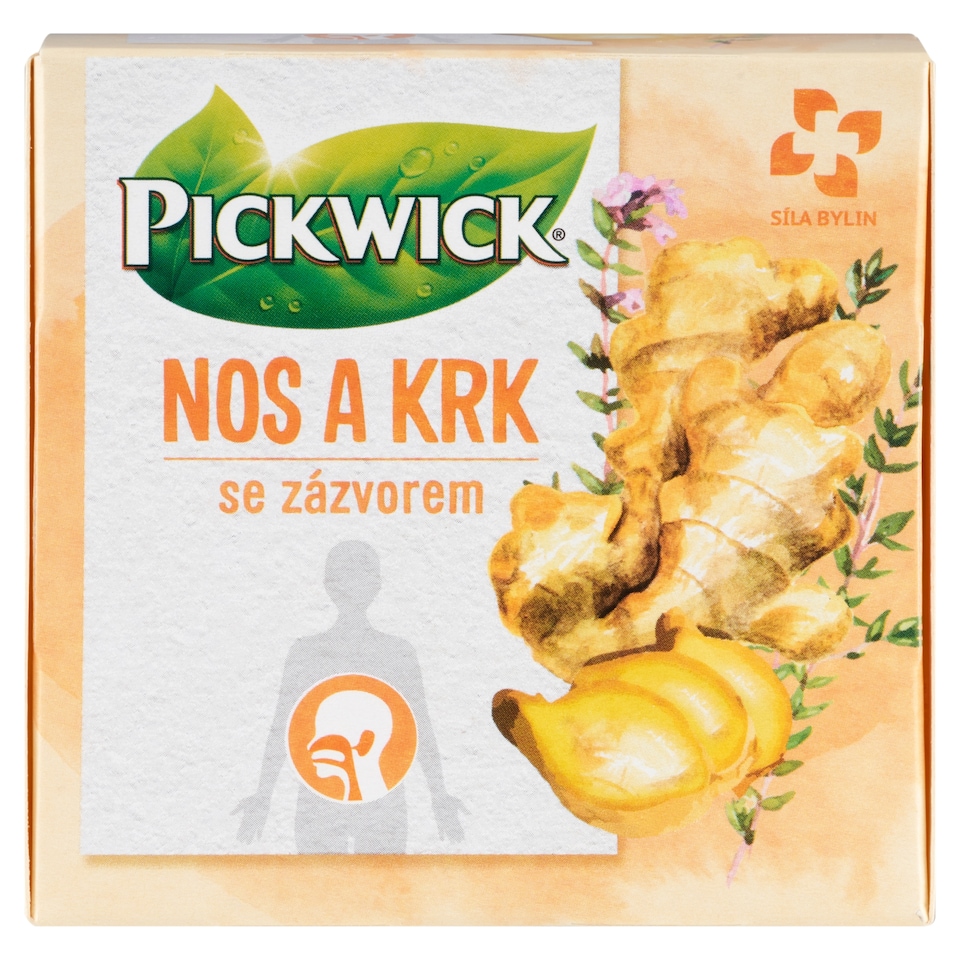 image 1 of Pickwick Nose and Throat with Ginger 10 x 2g (20g)