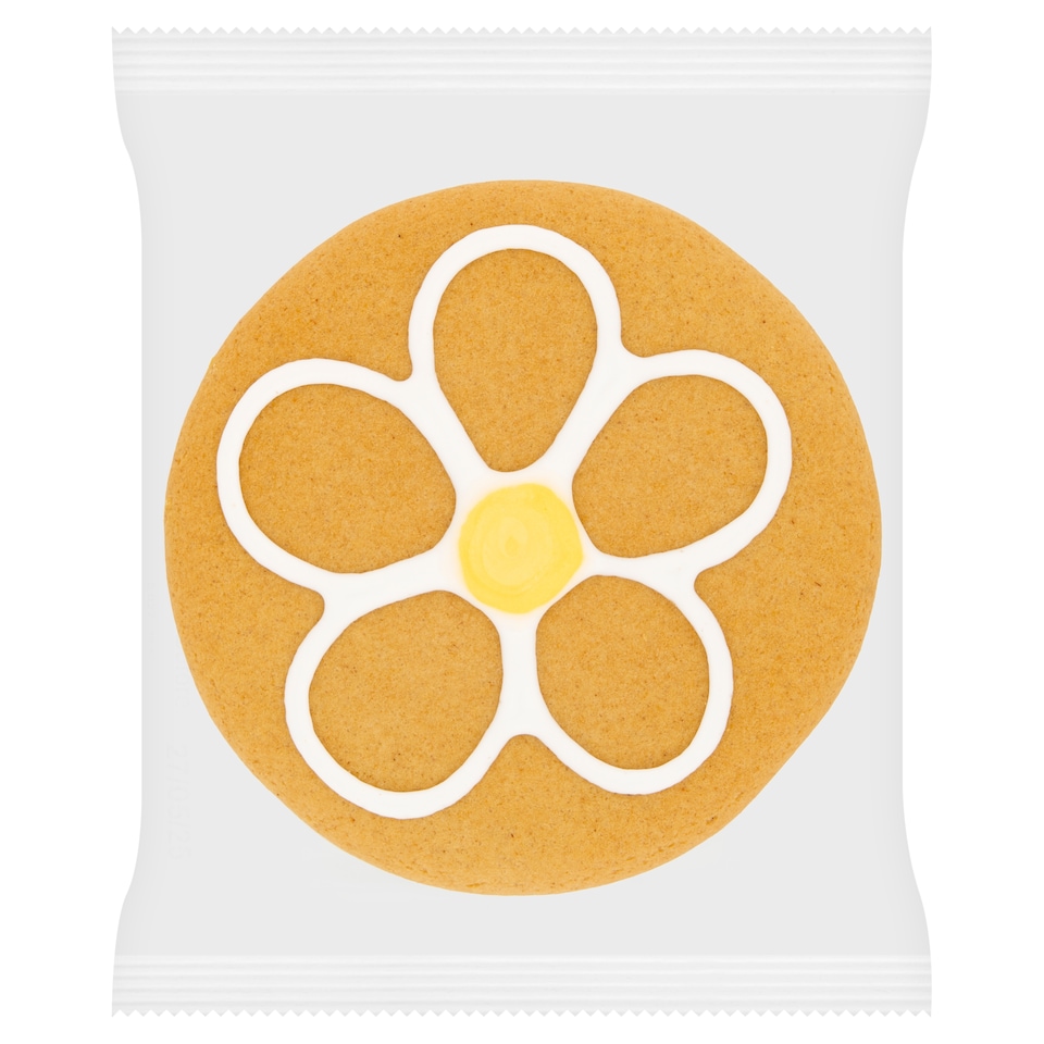 Tesco Seasonal Gingerbread Biscuit